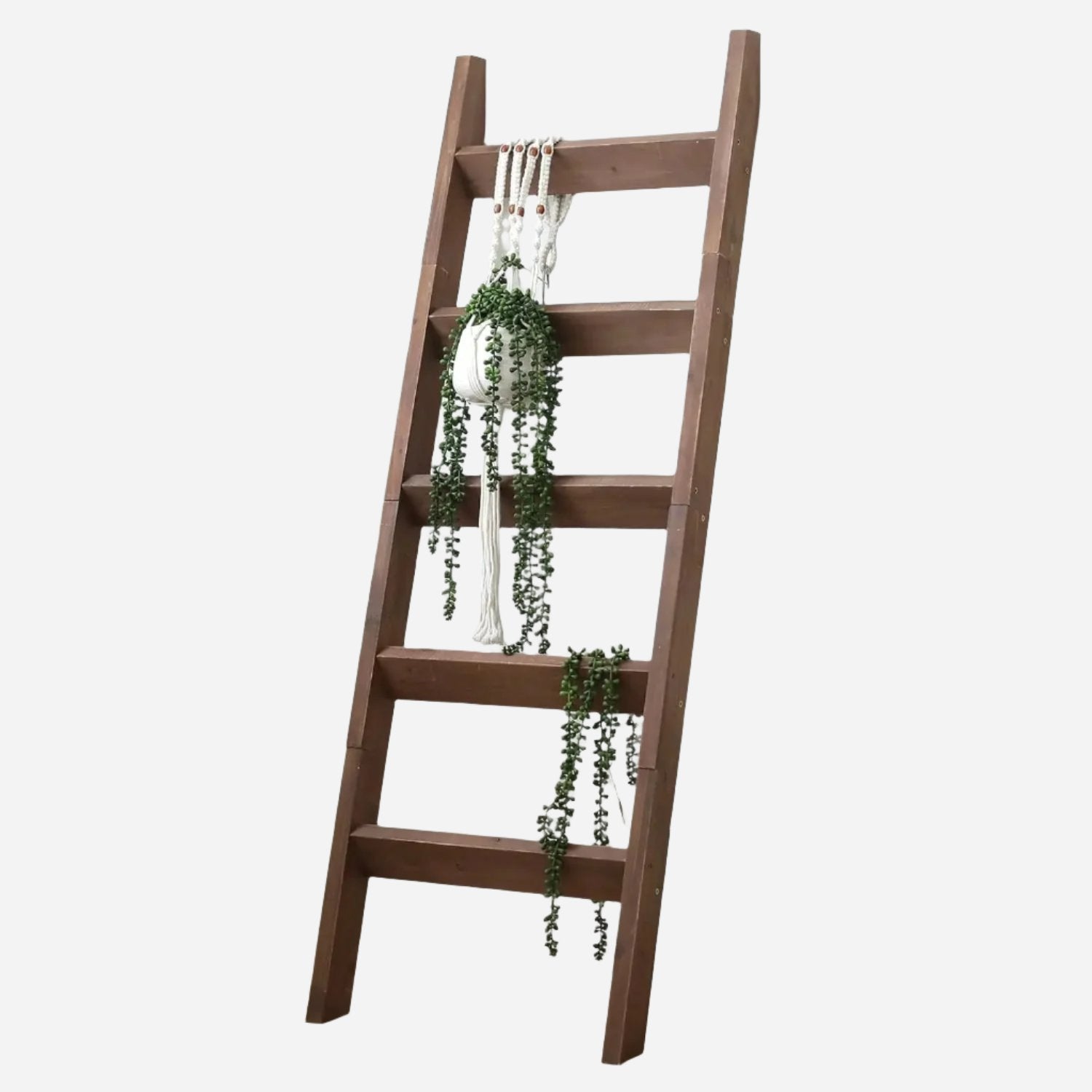 Decorative Wall Ladder