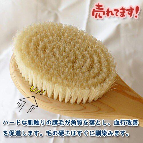 Japanese Hinoki Body Brush